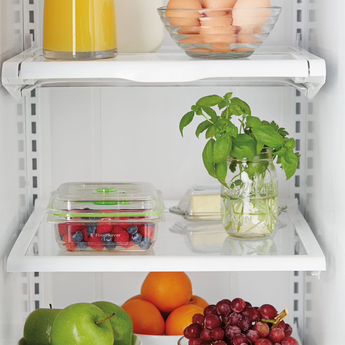 FoodSaver® Fresh Container, 3 cup FAC3000 FoodSaver® Canada