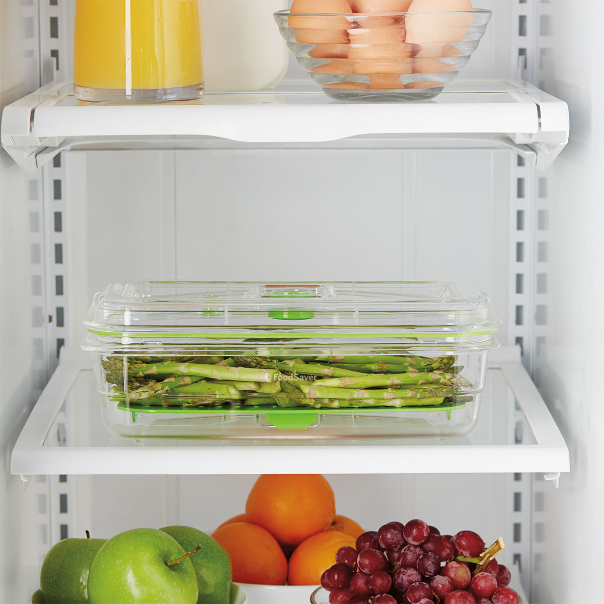 FoodSaver® Fresh Container, 10 cup FAC10000 FoodSaver® Canada