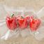 FoodSaver 11" x 16' Vacuum Sealer Rolls (27.9 cm x 4.87 m), 3 Pack Image 4 of 5