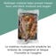 Rouleau d&rsquo;emballage sous vide extensible FoodSaver de 27,9 cm x 4,89 m (11 po x 16 pi), 1 unit&eacute; Image 4 of 6