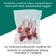 FoodSaver Gallon Pre-Cut Vacuum Sealer Bags (3.78 L), 13 Pack Image 4 of 6