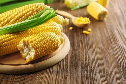 https://www.foodsaver.ca/on/demandware.static/-/Sites-food-saver-ca-Library/default/dw8e3f786d/images/blog/Who-doesnt-want-to-enjoy-corn-all-year_1858_40152193_0_14128695_500.jpg